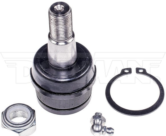 import placeholder for 9901423984941