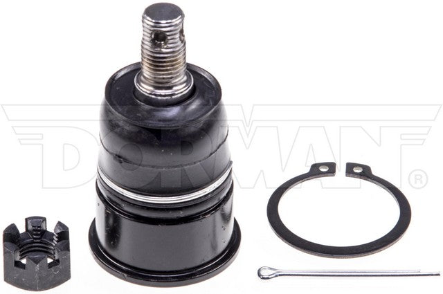 import placeholder for 9901552075053