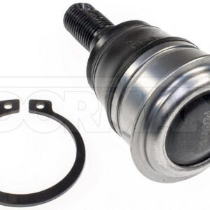 import placeholder for 9901584515373