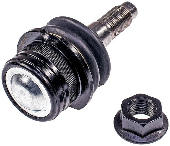 suspension ball joint dorman premium chassis bj43225pr