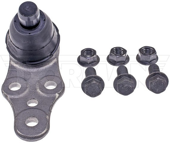 import placeholder for 9901700841773