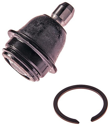 suspension ball joint dorman premium chassis bj55075pr