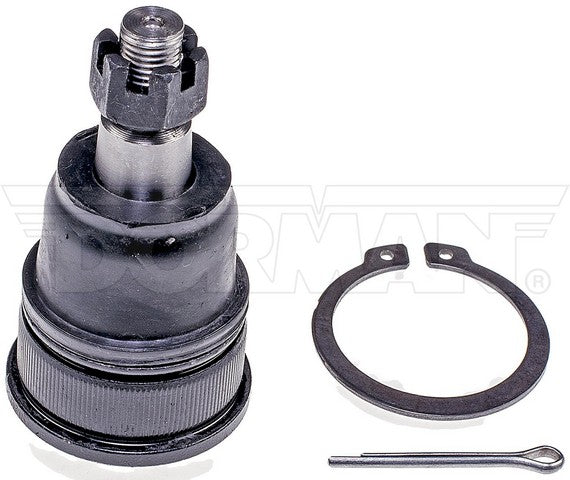 import placeholder for 9901548765485