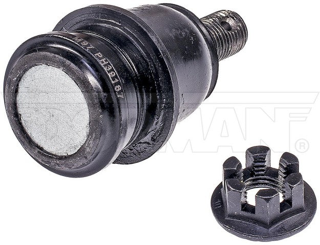 import placeholder for 9901776437549
