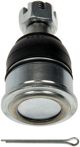 import placeholder for 9901814481197