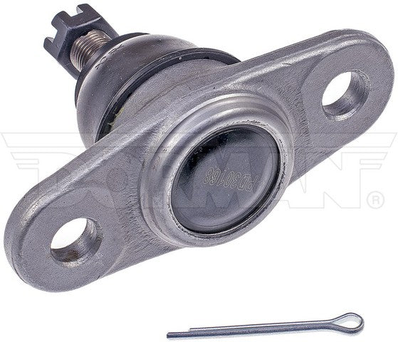 suspension ball joint dorman premium chassis bj60065xl