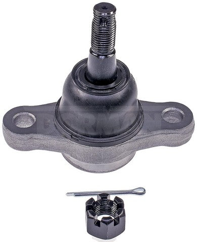 import placeholder for 9901723844909