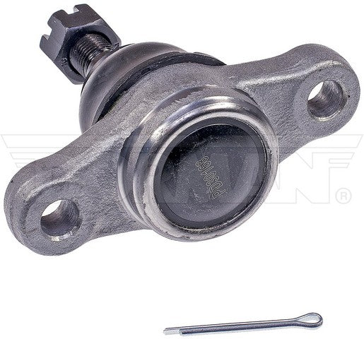 suspension ball joint dorman premium chassis bj60085xl