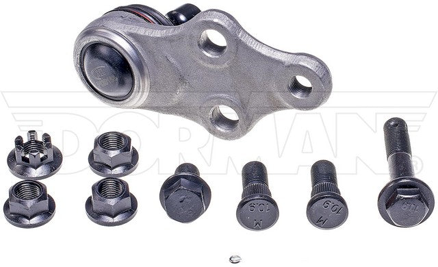 import placeholder for 9901790560557