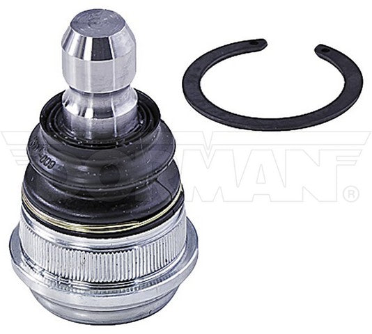 import placeholder for 9901781582125