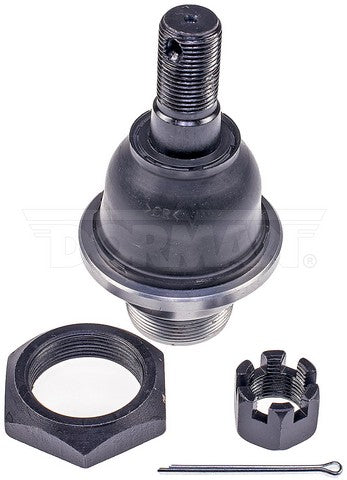 import placeholder for 9901581205805