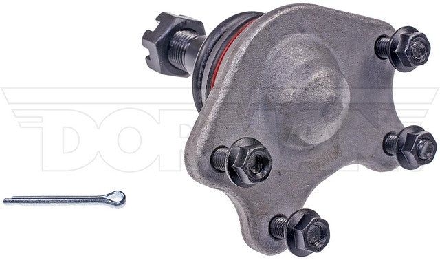 suspension ball joint dorman premium chassis bj74056xl