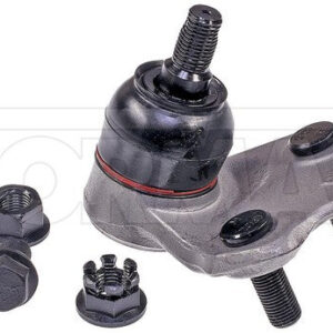import placeholder for 9901762380077