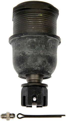 suspension ball joint dorman mas bj810015