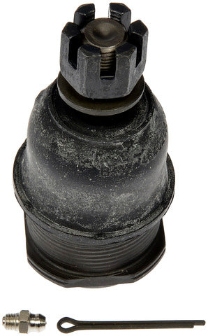suspension ball joint dorman mas bj810015