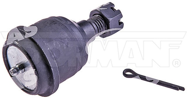 import placeholder for 9901374964013