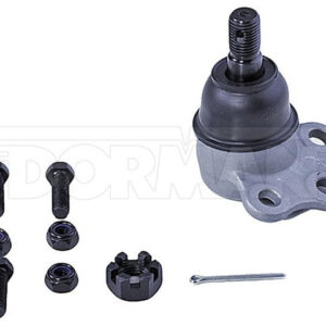 import placeholder for 9901362020653