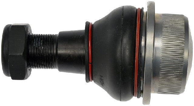 suspension ball joint dorman premium chassis bj83015xl