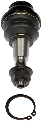 suspension ball joint dorman mas bj92465