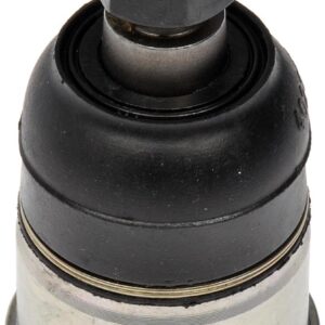 Suspension Ball Joint Dorman MAS BJ50085
